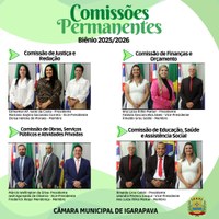 Câmara Municipal de Igarapava realiza Sessão Extraordinária e define composição das Comissões Permanentes para o biênio 2025/2026